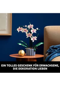 Bild 22