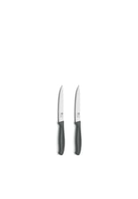 Richardson Sheffield - 2-tlg. Allzweckmesser Set - silberfarben