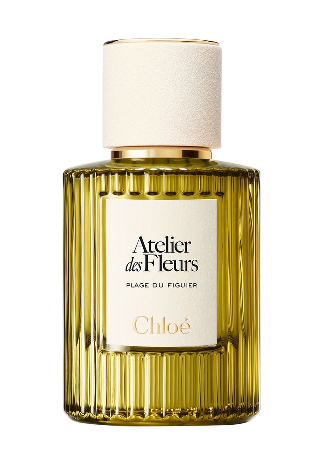 Chloé Atelier Des Fleurs Plage Du Figuier Eau De Parfum Für Damen 50 Ml - Image 4