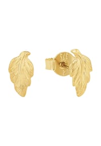 amor - Damen Ohrstecker "Blatt", 375er Gelbgold - GOLD