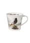Goebel Coffee-/Tea Mug Vogel des Jahres 2025 Hausrotschwanz Vogel des Jahres Bild 9