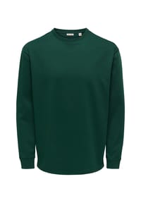 ONLY & SONS - Sweatshirt Caspian Pullover - grün