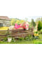 BABY born® My Cute Horse Bild 12