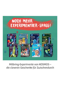 Bild 13