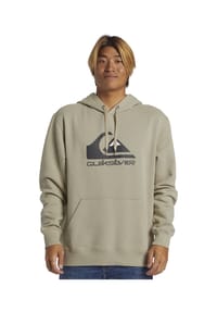 QUIKSILVER - Kapuzenpullover Big Logo - braun