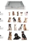 Aspero® Hundebett Kotka Bild 9