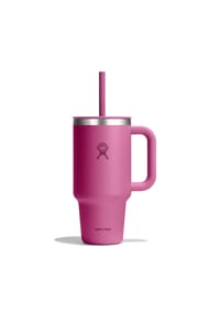 Hydro Flask® All Around Trinkbecher 945 ml - Tumblers - aloe