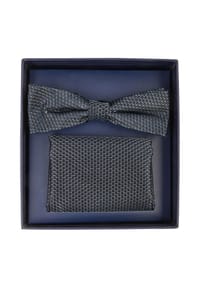 HECHTER PARIS - Geschenkbox mit Fliege und Einstecktuch - navy
