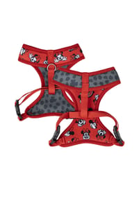 Disney - Disney Minnie Premium Hundegeschirr XXS/XS Hunde Brustgeschirr - 