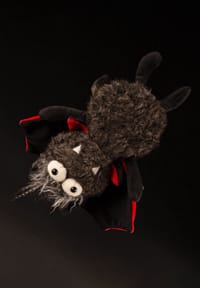 Bild 5