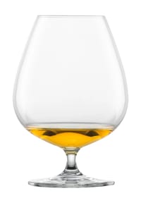 SCHOTT ZWIESEL - Cognacglas, 4er-Set - TRANSPARENT