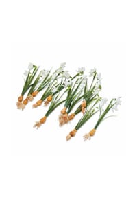 LOBERON - Deko-Blume 12er Set Willmare weiß/grün - weiß/grün