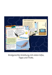 Bild 6