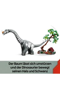 Bild 16