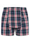 Sugar Pine Boxer Mix Karos Bild 9