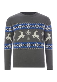 JAN VANDERSTORM - Pullover TORE - grau