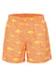 CHIEMSEE Badeshorts, schnelltrocknend, für Herren Bild 11