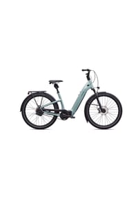 E-City Bike Como 5.0 IGH NB Gloss Agave Grey / Oak Green Metallic 2027 - undefined - 
