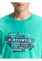 TOM TAILOR T-Shirt, Baumwolle, für Herren Bild 10
