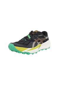 asics - Laufschuhe Trabuco, dämpfend, für Herren - BLACK/CLAY CANYON