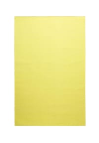 Green Looop - Handweb-Teppich Nizza - Baumwollteppich, einfarbig, pflegeleicht, Wohn-Schlafzimmer, 2x2,9 m - gelb