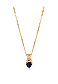 elli. DIAMONDS - Halskette Herz Laborgezüchteter Saphir Diamant (0.004 Ct) 925 Sterling Silber - Gold