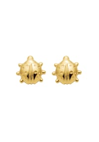 Adelia's - Damen Gold Schmuck 333 Gold Ohrringe Ohrstecker Marienkäfer - gold