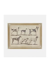 LOBERON - Bild Wendrel braun/creme - braun/creme