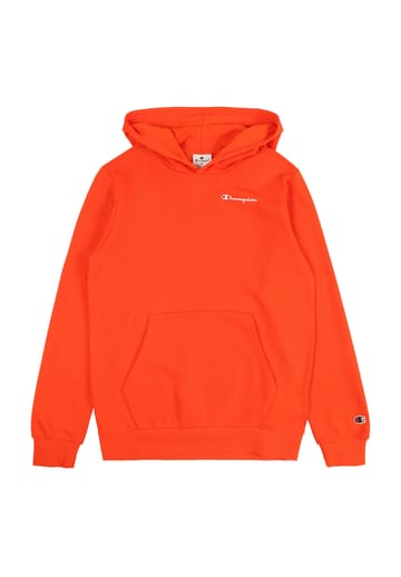 Champion hoodie sale kinder outlet