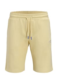 JACK & JONES - Hose GORDON COLLEGE Shorts - blau