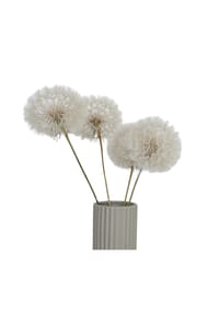 LYKKE & YOU - Pusteblume getrocknet einzeln - weiß