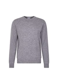 seidensticker - Pullover Schwarze Rose - Grey (0033)