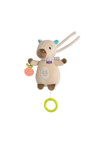 fehn® - Capybara Mini-Spieluhr - BUNT