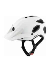 ALPINA - Fahrradhelm Comox - caffee grau