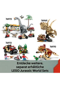 Bild 21