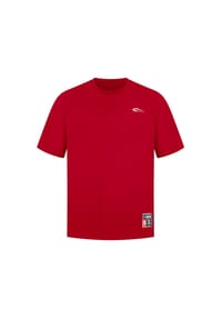 SMILODOX - T-Shirt Rayk - Anthrazit