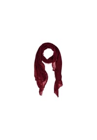 SEEBERGER - Cashmere Feinstrick Schal 200x80cm 19288-0 - anthrazit