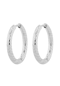 Adelia's - Adelia's Damen Creolen aus poliertem Edelstahl - silber