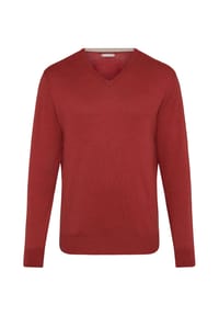 GALERIA essentials - Pullover, Baumwolle, V-Ausschnitt, für Herren - 19-125 PICANTE