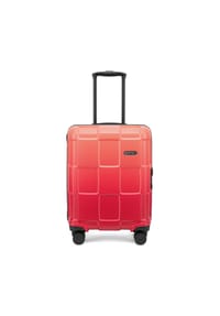 epic Crate EX Wildlife - Crate EX Wildlife 4 Rollen Kabinentrolley 55 cm - ascendinggrape