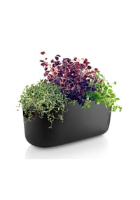 eva solo - Selbstbewässernder Herb-Organiser, Schwarz - Schwarz