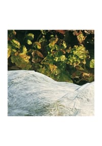COFI - Wintervlies in Weiß 1,5 x 5 m – Schutz vor Frost, Wind & Schnee - Weiß 150 x 500 cm