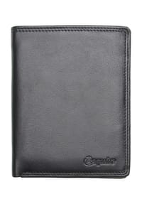 Esquire - Geldbörse, Leder, Hochformat, uni, für Herren - BRAUN