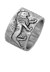 HAZE & GLORY - Ring Bandring - Lions Eye 925 Silber - Silber