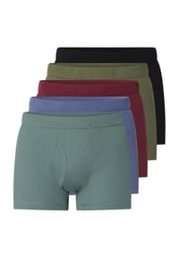JAN VANDERSTORM - 5er Pack Retropants GARDAR - multi