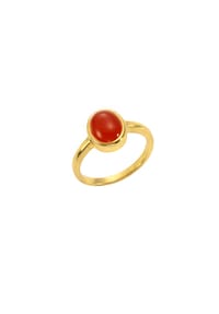 jamelli - Ring 925/- Sterling Silber 1 Carneol 2,39ct. - gelb