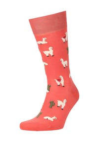 von Jungfeld - Socken, Lama-Motiv, mittelhoch, für Herren - 0800 ROSTROT