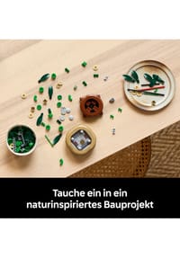 Bild 18