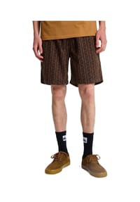 QUIKSILVER - Shorts TAXER HORIZONS - mehrfarbig