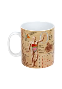KÖNITZ - Medicine Wissensbecher Englisch, 460 ml - Bunt